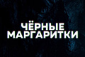 Чёрные маргаритки
